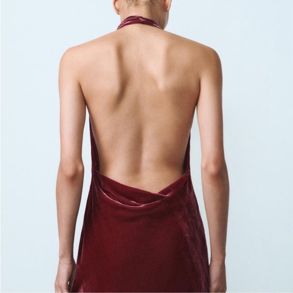 NWOT Zara Raspberry Pink Velvet Maxi Dress Halter Neck Open Back Size XS - Picture 6 of 9